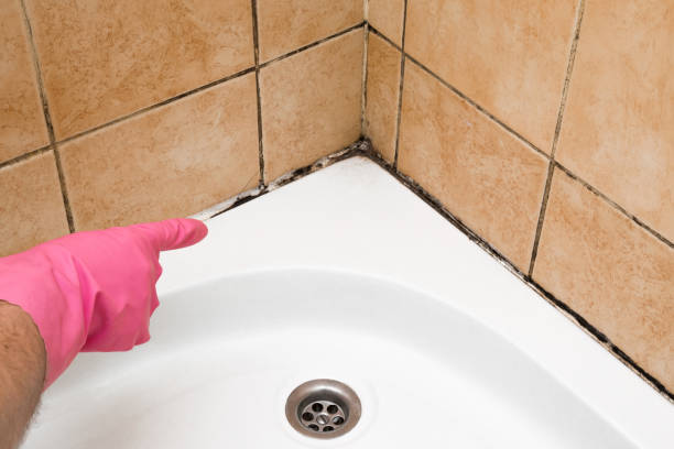 Best Certified Mold Removal  in North Fond Du Lac, WI